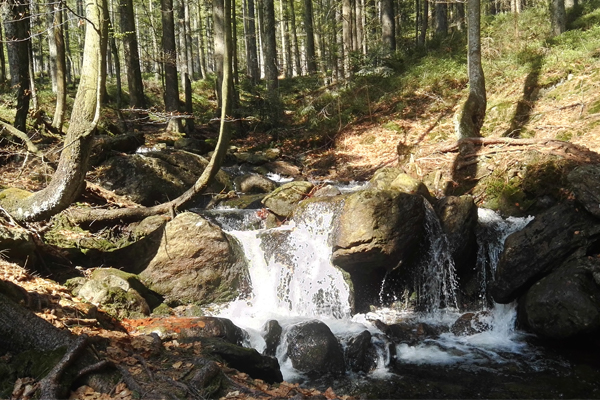 Šumava - cabriovikend.cz